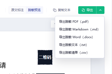 PDF 脱敏结果的导出格式菜单
